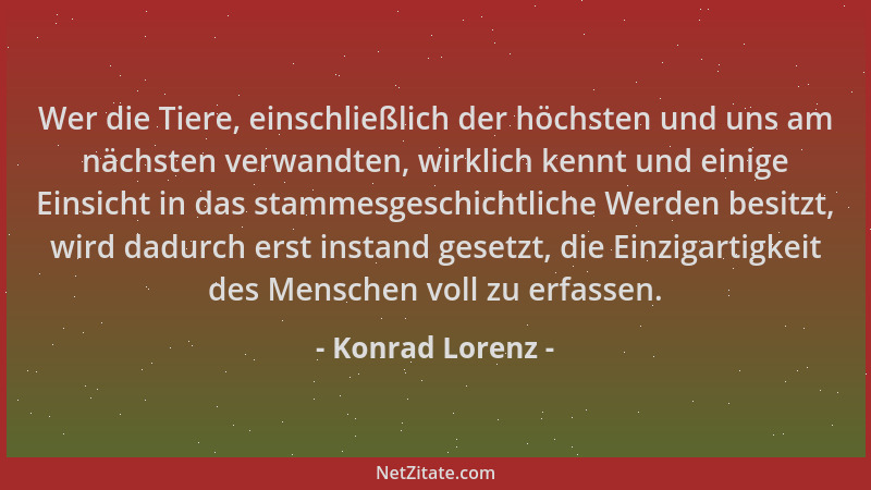 Konrad Lorenz - Wer die Tiere, einschließlich der höchsten und uns am nächsten verwandten, wirklich kennt und einige Einsic...