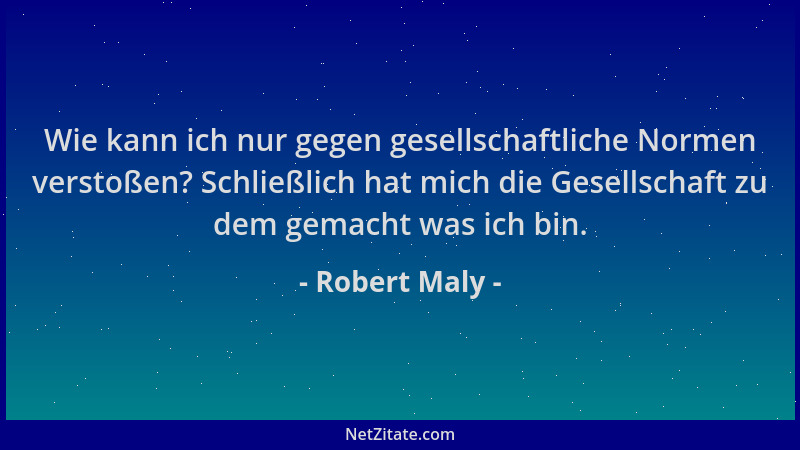 Robert Maly - Wie kann ich nur gegen gesellschaftliche Normen verstoßen? Schließlich hat mich die Gesellschaft zu dem gemac...