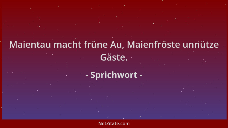 Sprichwort - Maientau macht früne Au, Maienfröste unnütze Gäste....