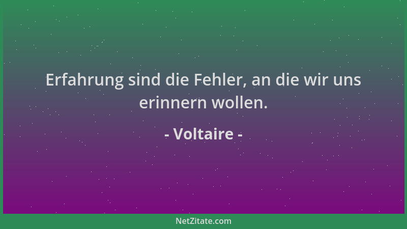 Voltaire - Erfahrung sind die Fehler, an die wir uns erinnern wollen....