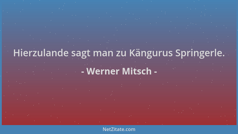 Werner Mitsch - Hierzulande sagt man zu Kängurus Springerle....