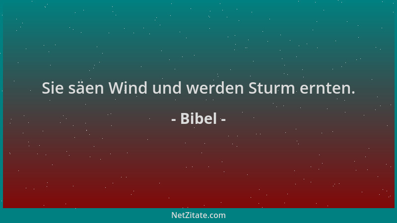 Bibel - Sie säen Wind und werden Sturm ernten....