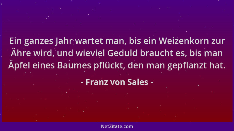 Franz von Sales - Ein ganzes Jahr wartet man, bis ein Weizenkorn zur Ähre wird, und wieviel Geduld braucht es, bis man Äpfe...