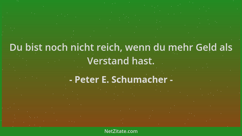 Peter E. Schumacher - Du bist noch nicht reich, wenn du mehr Geld als Verstand hast....