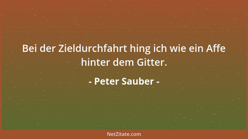 Peter Sauber - Bei der Zieldurchfahrt hing ich wie ein Affe hinter dem Gitter....
