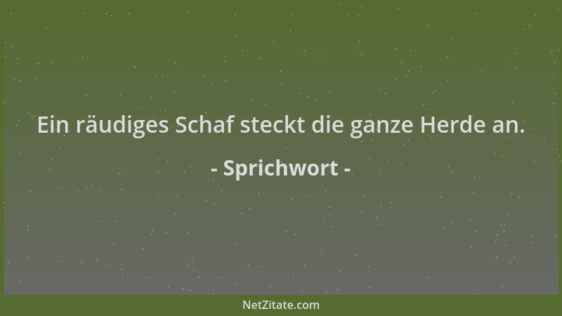 Sprichwort - Ein räudiges Schaf steckt die ganze Herde an....