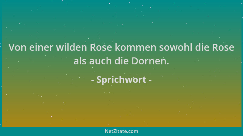 Sprichwort - Von einer wilden Rose kommen sowohl die Rose als auch die Dornen....