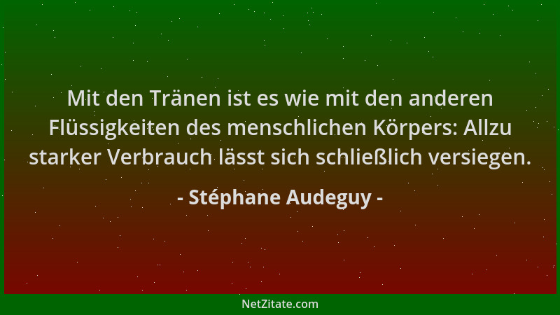 Stéphane Audeguy - Mit den Tränen ist es wie mit den anderen Flüssigkeiten des menschlichen Körpers: Allzu starker Verbrauc...