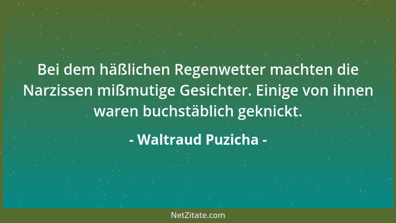 Waltraud Puzicha - Bei dem häßlichen Regenwetter machten die Narzissen mißmutige Gesichter. Einige von ihnen waren buchstäb...