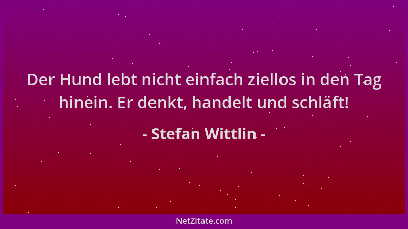 Stefan Wittlin - Der Hund lebt nicht einfach ziellos in den Tag hinein. Er denkt, handelt und schläft!...
