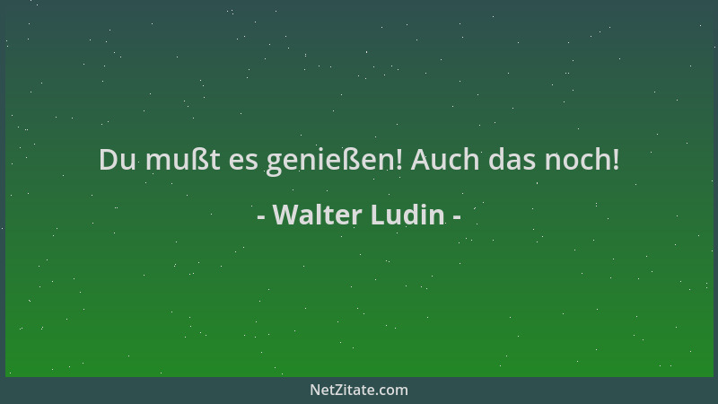 Walter Ludin - Du mußt es genießen! Auch das noch!...