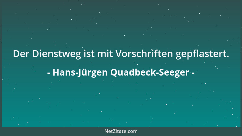 Hans-Jürgen Quadbeck-Seeger - Der Dienstweg ist mit Vorschriften gepflastert....