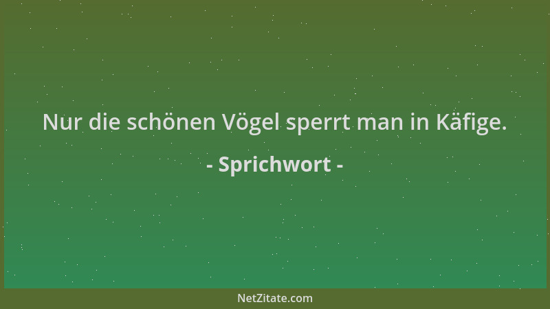Sprichwort - Nur die schönen Vögel sperrt man in Käfige....