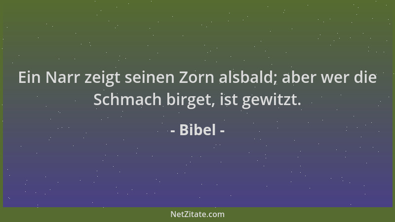 Bibel - Ein Narr zeigt seinen Zorn alsbald; aber wer die Schmach birget, ist gewitzt....