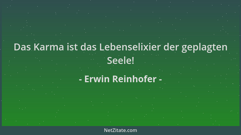 Erwin Reinhofer - Das Karma ist das Lebenselixier der geplagten Seele!...