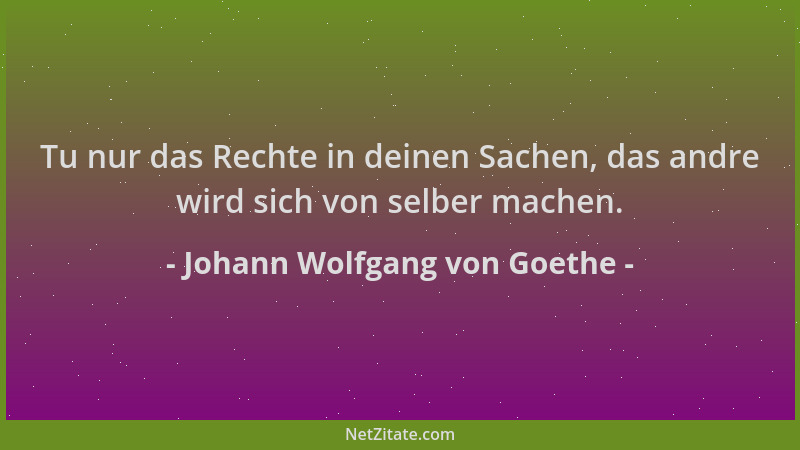 Johann Wolfgang von Goethe - Tu nur das Rechte in deinen Sachen, das andre wird sich von selber machen....