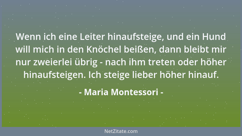 Maria Montessori - Wenn ich eine Leiter hinaufsteige, und ein Hund will mich in den Knöchel beißen, dann bleibt mir nur zwe...