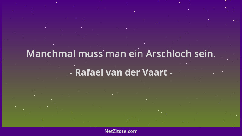 Rafael van der Vaart - Manchmal muss man ein Arschloch sein....
