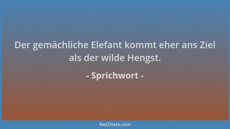 Sprichwort - Der gemächliche Elefant kommt eher ans Ziel als der wilde Hengst....