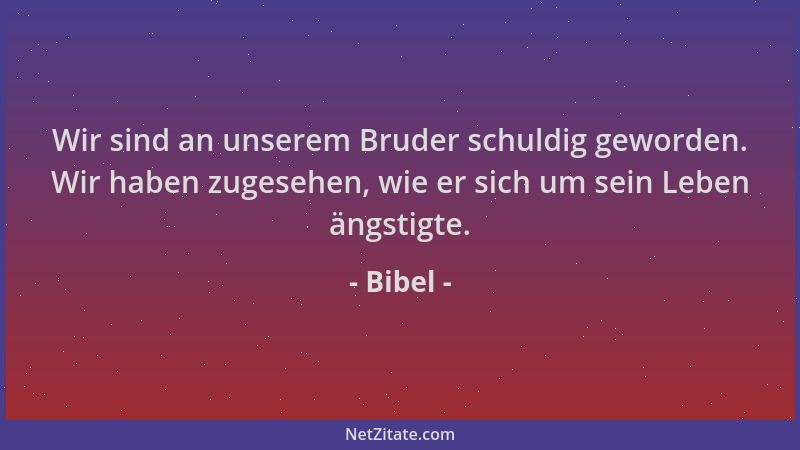 Bibel - Wir sind an unserem Bruder schuldig geworden. Wir haben zugesehen, wie er sich um sein Leben ängstigte....