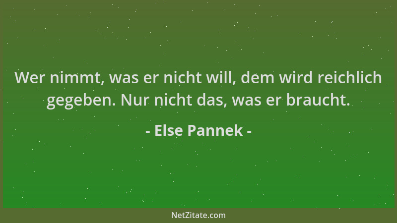 Else Pannek - Wer nimmt, was er nicht will, dem wird reichlich gegeben. Nur nicht das, was er braucht....
