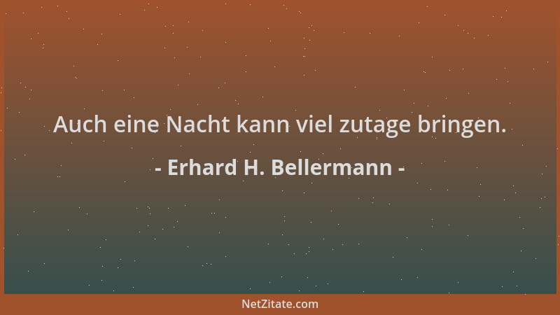 Erhard H. Bellermann - Auch eine Nacht kann viel zutage bringen....
