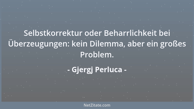 Gjergj Perluca - Selbstkorrektur oder Beharrlichkeit bei Überzeugungen: kein Dilemma, aber ein großes Problem....