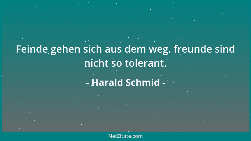 Harald Schmid - Feinde gehen sich aus dem weg. freunde sind nicht so tolerant....