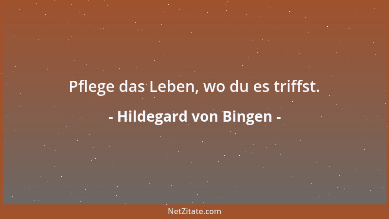 Hildegard von Bingen - Pflege das Leben, wo du es triffst....