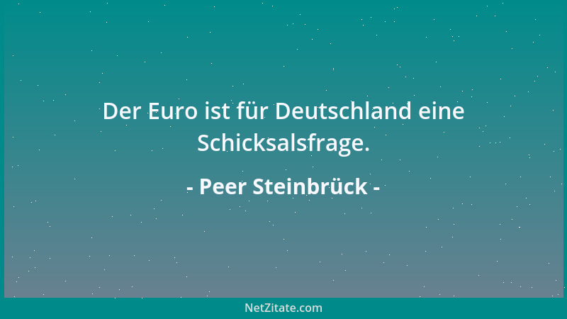 Peer Steinbrück - Der Euro ist für Deutschland eine Schicksalsfrage....