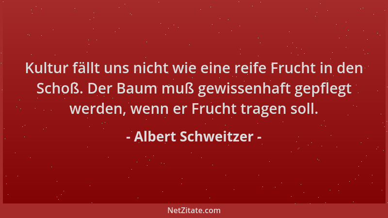 Albert Schweitzer - Kultur fällt uns nicht wie eine reife Frucht in den Schoß. Der Baum muß gewissenhaft gepflegt werden, w...