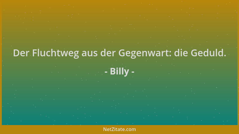 Billy - Der Fluchtweg aus der Gegenwart: die Geduld....