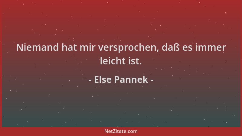 Else Pannek - Niemand hat mir versprochen, daß es immer leicht ist....