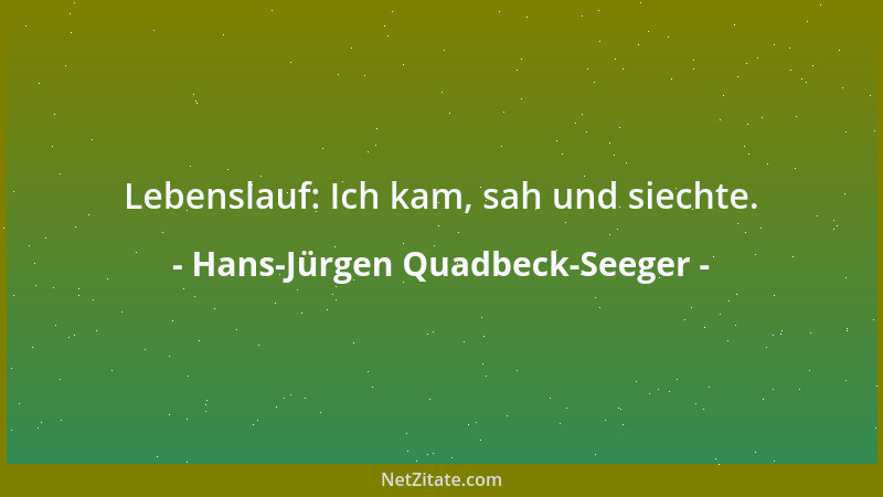 Hans-Jürgen Quadbeck-Seeger - Lebenslauf: Ich kam, sah und siechte....