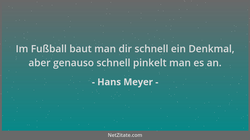 Hans Meyer - Im Fußball baut man dir schnell ein Denkmal, aber genauso schnell pinkelt man es an....