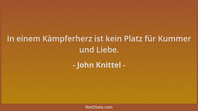 John Knittel - In einem Kämpferherz ist kein Platz für Kummer und Liebe....