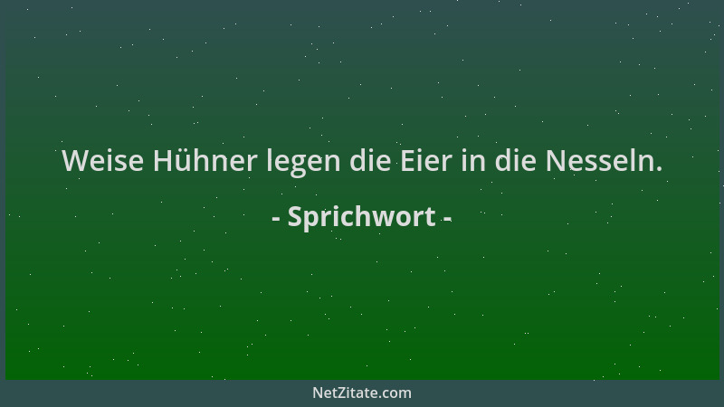 Sprichwort - Weise Hühner legen die Eier in die Nesseln....