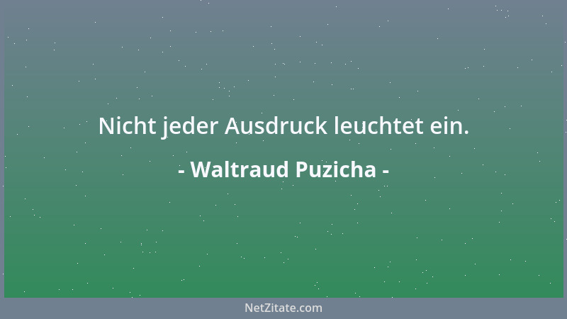 Waltraud Puzicha - Nicht jeder Ausdruck leuchtet ein....