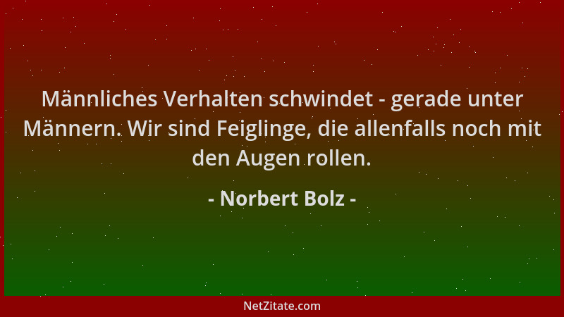 Norbert Bolz - Männliches Verhalten schwindet - gerade unter Männern. Wir sind Feiglinge, die allenfalls noch mit den Augen...