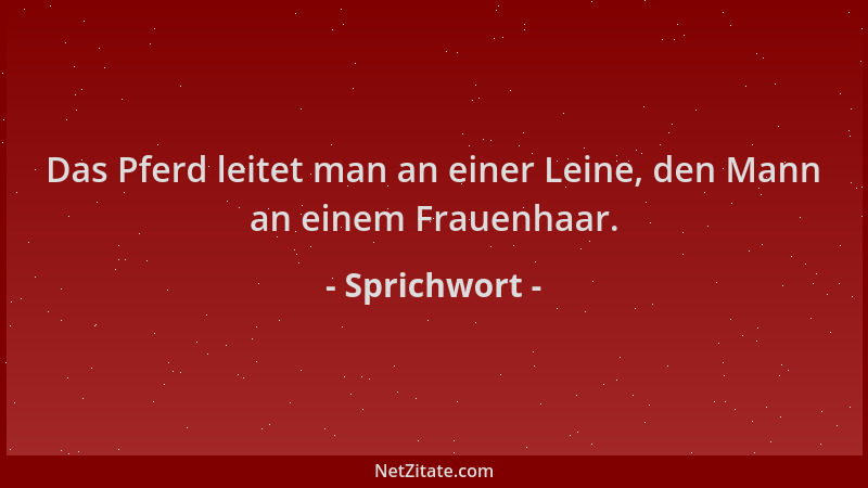 Sprichwort - Das Pferd leitet man an einer Leine, den Mann an einem Frauenhaar....