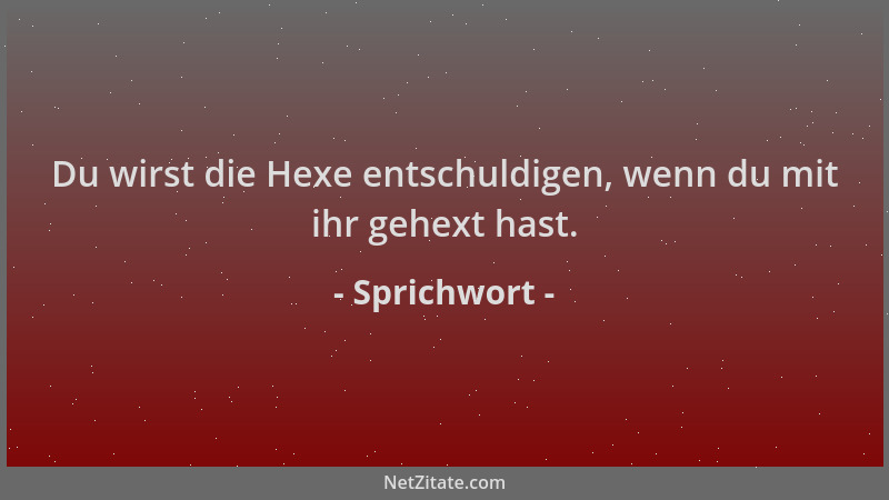 Sprichwort - Du wirst die Hexe entschuldigen, wenn du mit ihr gehext hast....