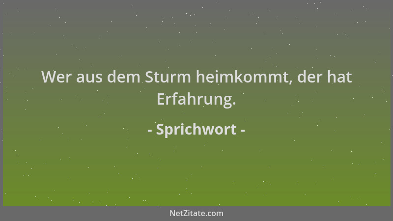 Sprichwort - Wer aus dem Sturm heimkommt, der hat Erfahrung....