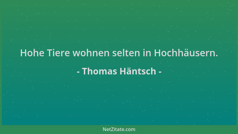 Thomas Häntsch - Hohe Tiere wohnen selten in Hochhäusern....