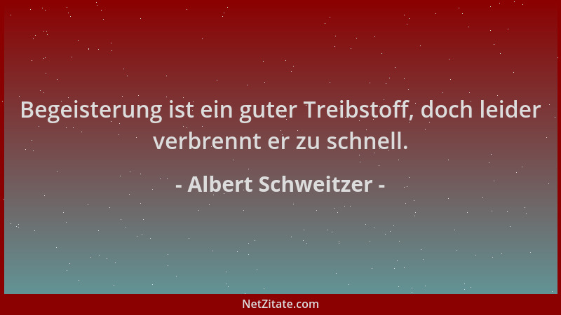 Albert Schweitzer - Begeisterung ist ein guter Treibstoff, doch leider verbrennt er zu schnell....