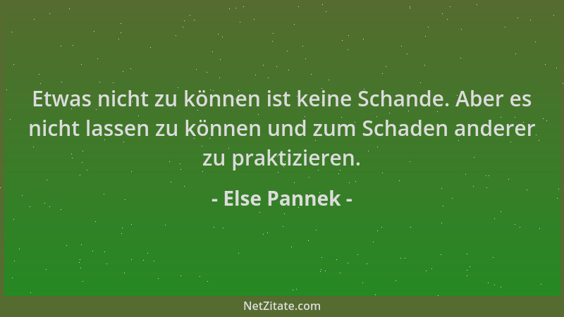 Else Pannek - Etwas nicht zu können ist keine Schande. Aber es nicht lassen zu können und zum Schaden anderer zu praktizier...
