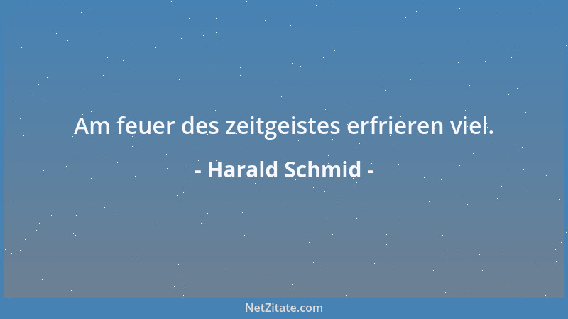 Harald Schmid - Am feuer des zeitgeistes erfrieren viel....