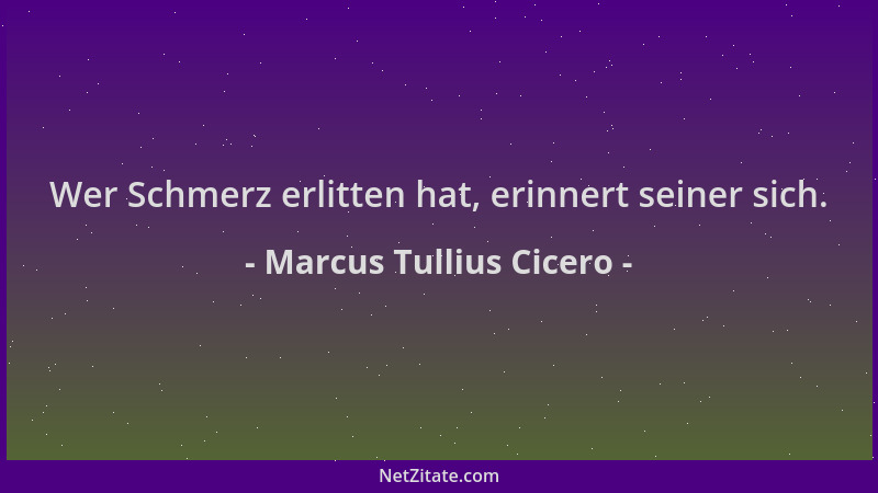 Marcus Tullius Cicero - Wer Schmerz erlitten hat, erinnert seiner sich....