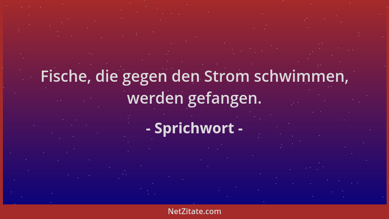 Sprichwort - Fische, die gegen den Strom schwimmen, werden gefangen....