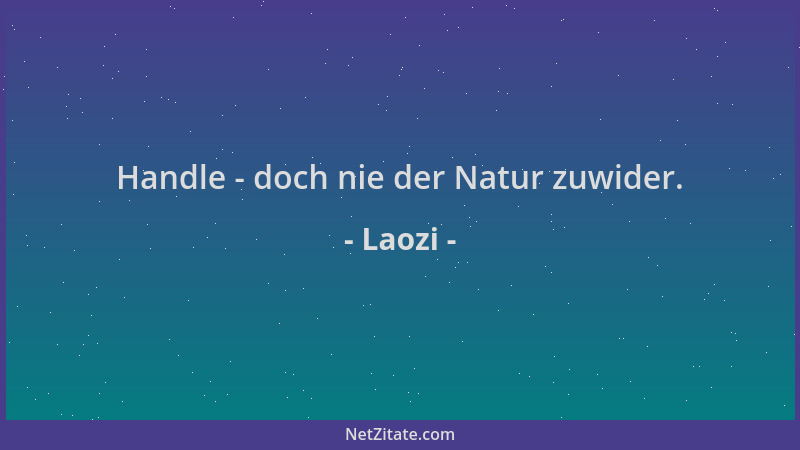 Laozi - Handle - doch nie der Natur zuwider....