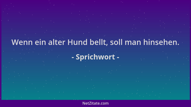 Sprichwort - Wenn ein alter Hund bellt, soll man hinsehen....